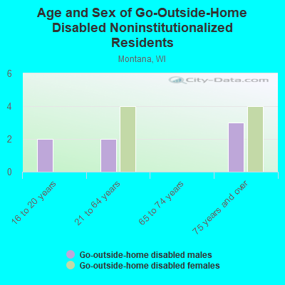 Age and Sex of Go-Outside-Home Disabled Noninstitutionalized Residents