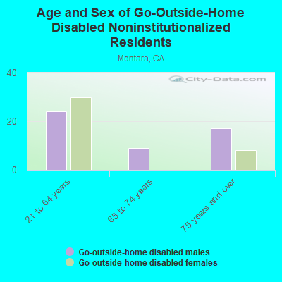 Age and Sex of Go-Outside-Home Disabled Noninstitutionalized Residents