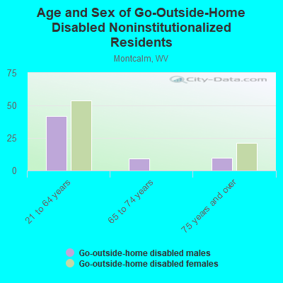 Age and Sex of Go-Outside-Home Disabled Noninstitutionalized Residents