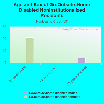 Age and Sex of Go-Outside-Home Disabled Noninstitutionalized Residents