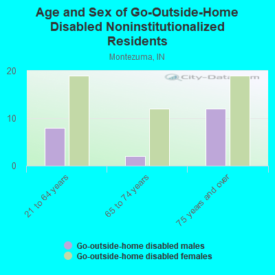 Age and Sex of Go-Outside-Home Disabled Noninstitutionalized Residents