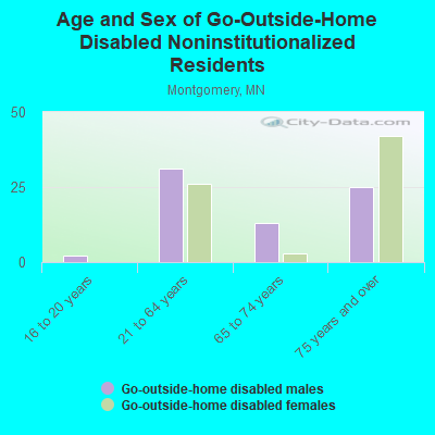 Age and Sex of Go-Outside-Home Disabled Noninstitutionalized Residents