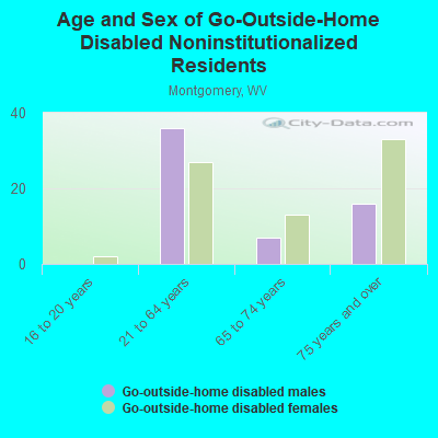 Age and Sex of Go-Outside-Home Disabled Noninstitutionalized Residents