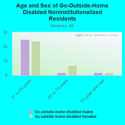 Age and Sex of Go-Outside-Home Disabled Noninstitutionalized Residents