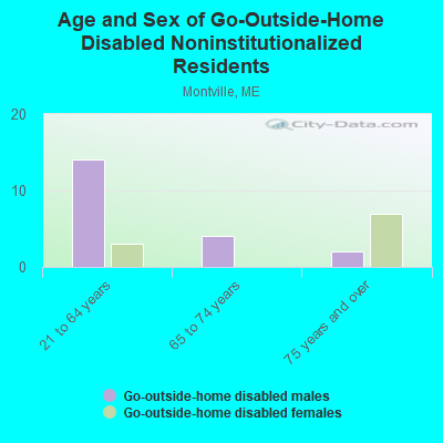 Age and Sex of Go-Outside-Home Disabled Noninstitutionalized Residents