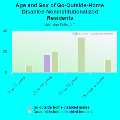 Age and Sex of Go-Outside-Home Disabled Noninstitutionalized Residents