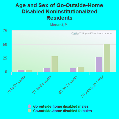 Age and Sex of Go-Outside-Home Disabled Noninstitutionalized Residents