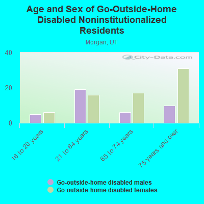 Age and Sex of Go-Outside-Home Disabled Noninstitutionalized Residents