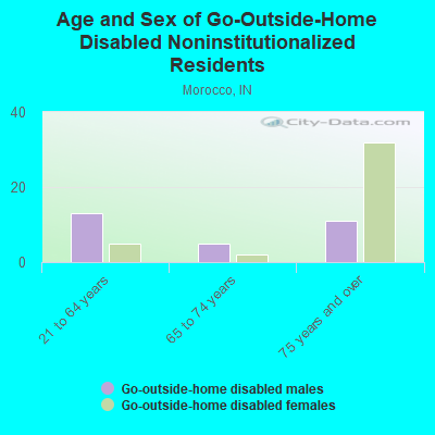 Age and Sex of Go-Outside-Home Disabled Noninstitutionalized Residents