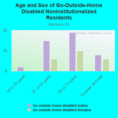 Age and Sex of Go-Outside-Home Disabled Noninstitutionalized Residents