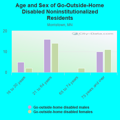 Age and Sex of Go-Outside-Home Disabled Noninstitutionalized Residents