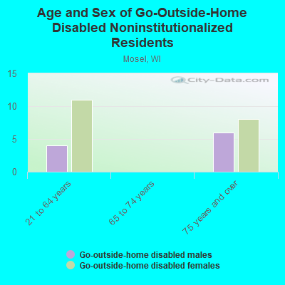 Age and Sex of Go-Outside-Home Disabled Noninstitutionalized Residents