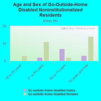 Age and Sex of Go-Outside-Home Disabled Noninstitutionalized Residents