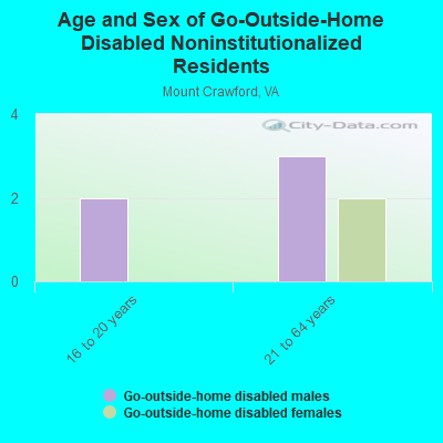 Age and Sex of Go-Outside-Home Disabled Noninstitutionalized Residents