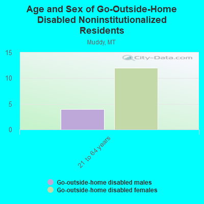 Age and Sex of Go-Outside-Home Disabled Noninstitutionalized Residents