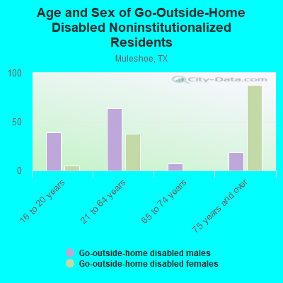 Age and Sex of Go-Outside-Home Disabled Noninstitutionalized Residents