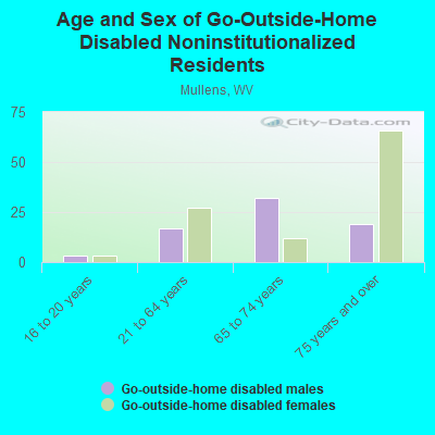 Age and Sex of Go-Outside-Home Disabled Noninstitutionalized Residents