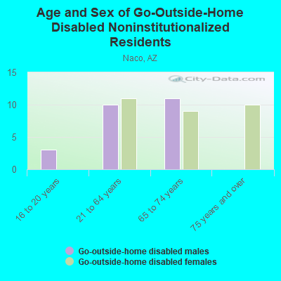 Age and Sex of Go-Outside-Home Disabled Noninstitutionalized Residents