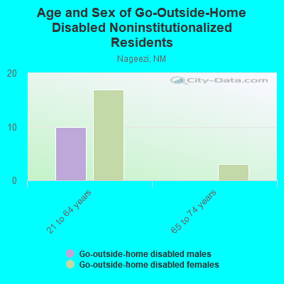 Age and Sex of Go-Outside-Home Disabled Noninstitutionalized Residents