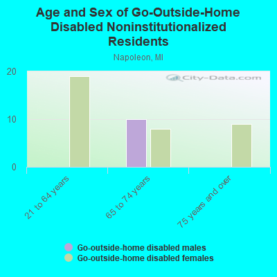 Age and Sex of Go-Outside-Home Disabled Noninstitutionalized Residents