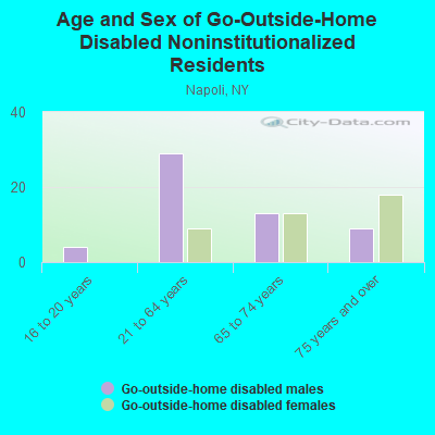 Age and Sex of Go-Outside-Home Disabled Noninstitutionalized Residents