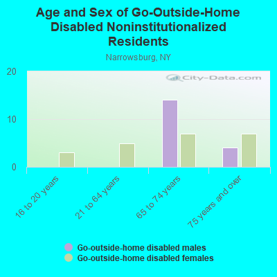 Age and Sex of Go-Outside-Home Disabled Noninstitutionalized Residents