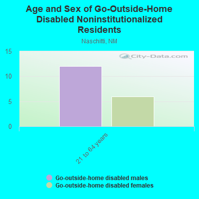 Age and Sex of Go-Outside-Home Disabled Noninstitutionalized Residents