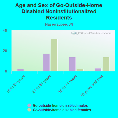 Age and Sex of Go-Outside-Home Disabled Noninstitutionalized Residents