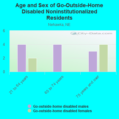 Age and Sex of Go-Outside-Home Disabled Noninstitutionalized Residents