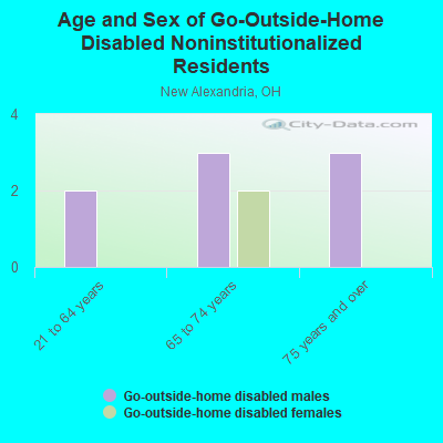 Age and Sex of Go-Outside-Home Disabled Noninstitutionalized Residents