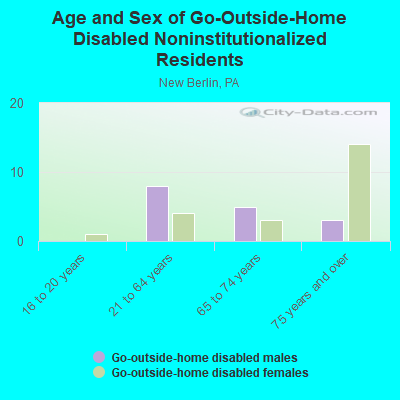 Age and Sex of Go-Outside-Home Disabled Noninstitutionalized Residents