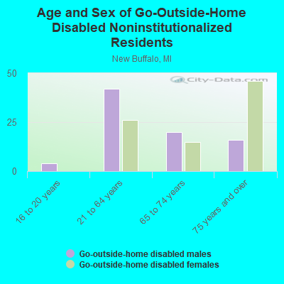 Age and Sex of Go-Outside-Home Disabled Noninstitutionalized Residents