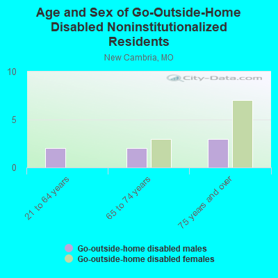 Age and Sex of Go-Outside-Home Disabled Noninstitutionalized Residents