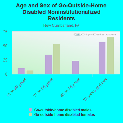 Age and Sex of Go-Outside-Home Disabled Noninstitutionalized Residents