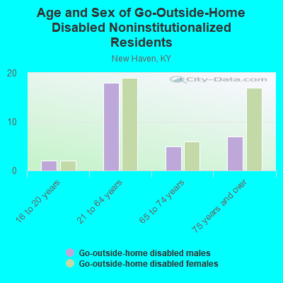 Age and Sex of Go-Outside-Home Disabled Noninstitutionalized Residents