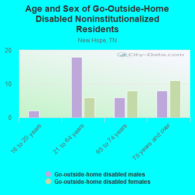 Age and Sex of Go-Outside-Home Disabled Noninstitutionalized Residents