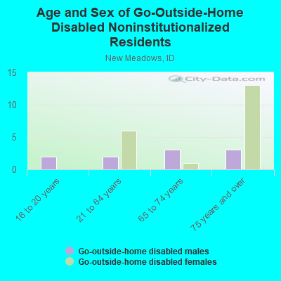 Age and Sex of Go-Outside-Home Disabled Noninstitutionalized Residents