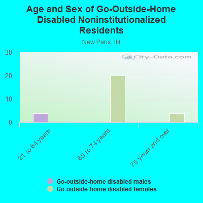 Age and Sex of Go-Outside-Home Disabled Noninstitutionalized Residents