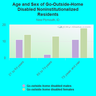 Age and Sex of Go-Outside-Home Disabled Noninstitutionalized Residents