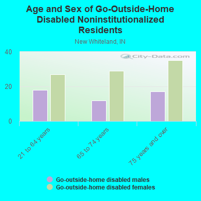 Age and Sex of Go-Outside-Home Disabled Noninstitutionalized Residents