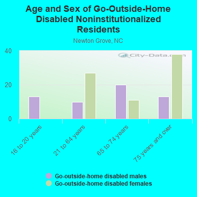 Age and Sex of Go-Outside-Home Disabled Noninstitutionalized Residents