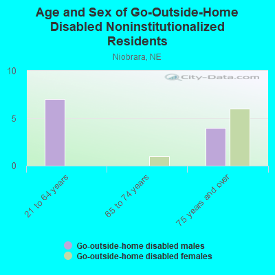 Age and Sex of Go-Outside-Home Disabled Noninstitutionalized Residents