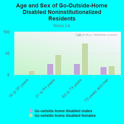 Age and Sex of Go-Outside-Home Disabled Noninstitutionalized Residents