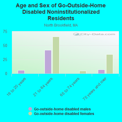 Age and Sex of Go-Outside-Home Disabled Noninstitutionalized Residents