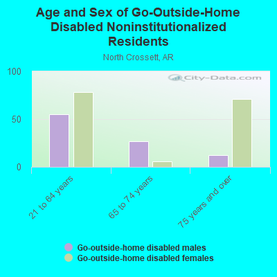 Age and Sex of Go-Outside-Home Disabled Noninstitutionalized Residents