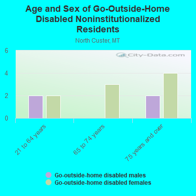 Age and Sex of Go-Outside-Home Disabled Noninstitutionalized Residents