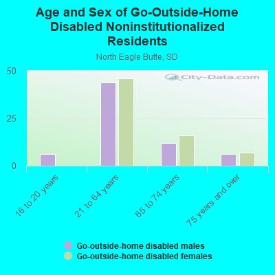 Age and Sex of Go-Outside-Home Disabled Noninstitutionalized Residents