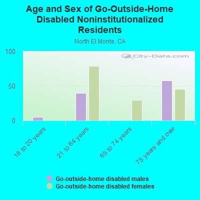 Age and Sex of Go-Outside-Home Disabled Noninstitutionalized Residents