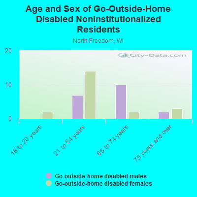 Age and Sex of Go-Outside-Home Disabled Noninstitutionalized Residents