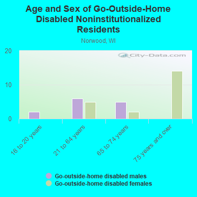 Age and Sex of Go-Outside-Home Disabled Noninstitutionalized Residents